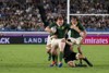 South Africa rugby union international 2019