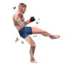 ufc-3-cms